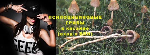 гашик Нефтегорск